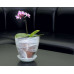Горшок для орхидей стеклянный  «№2 алебастр  белый»
