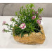 Горшок для цветов с поддоном «Камень Эверест» 22см х 16см h15см св/песч
